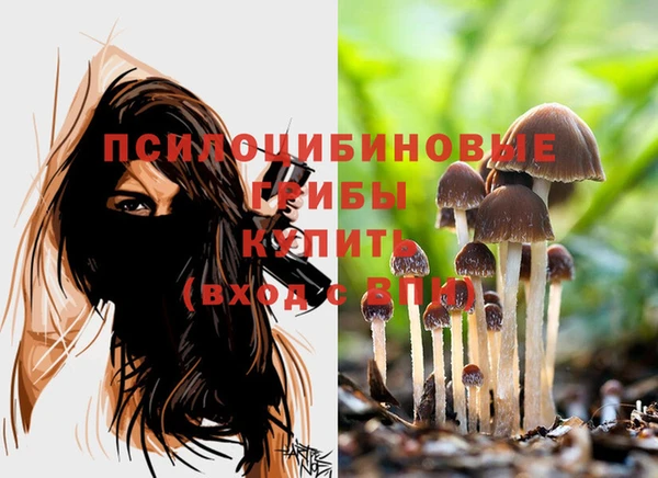 марихуана Куртамыш