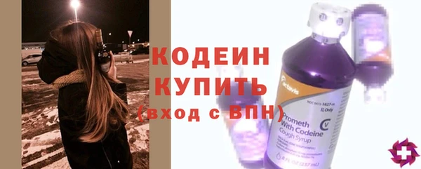 винт Лабытнанги