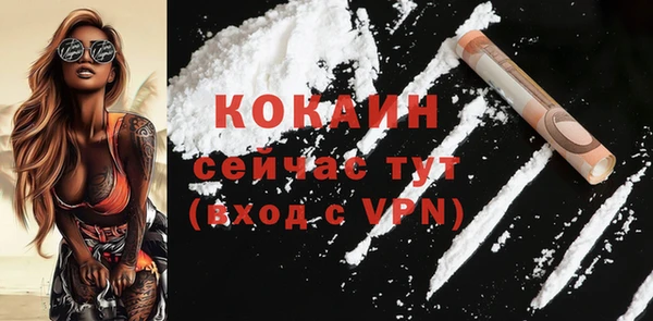 винт Лабытнанги
