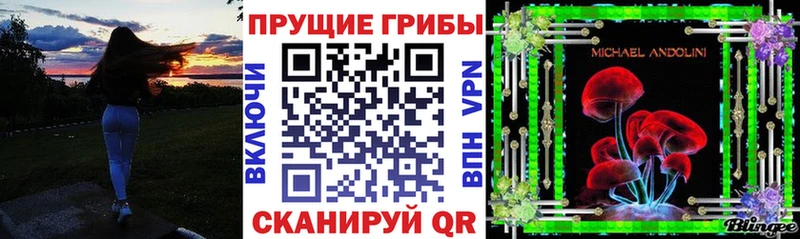 Галлюциногенные грибы Psilocybine cubensis  Медвежьегорск 